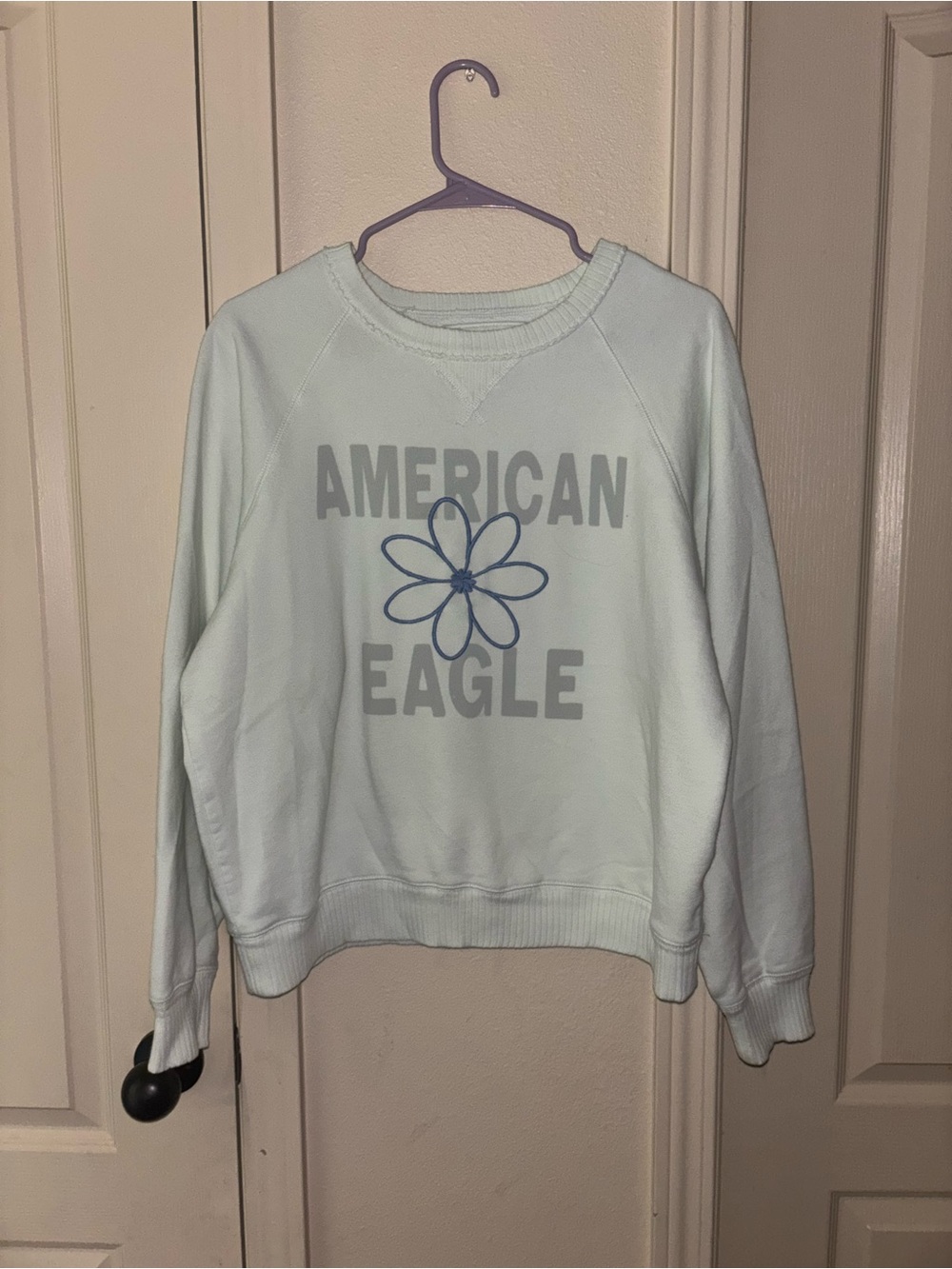 American Eagle  Light green Crewneck Sweatshirt with Blue Floral Detail size M